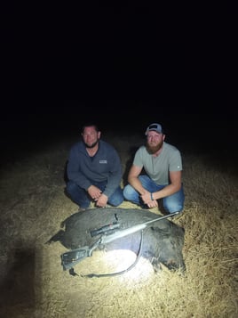 Hog Hunting by SPI