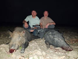 Hog Hunting