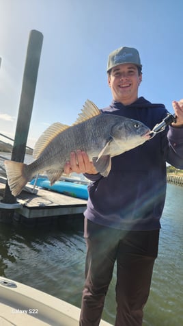 Black Drum Fishing in Charleston, South Carolina