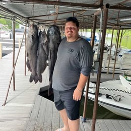 Noodling Handfishing