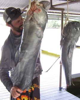 Noodling Handfishing