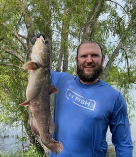 Catfish Noodling Trips