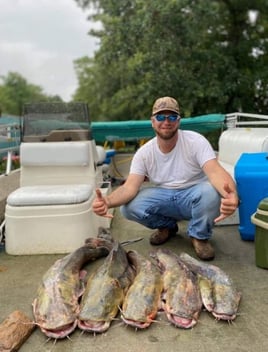 Catfish Noodling Trips