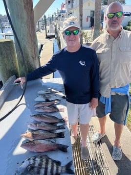 Half Day Inshore Trip