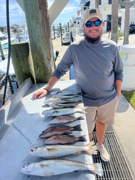 Half Day Inshore Trip