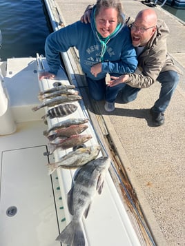 Half Day Inshore Trip