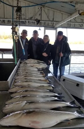 Ultimate Guided Striper Adventure