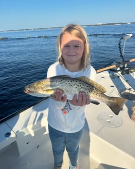 4-6 Hour Inshore Trip