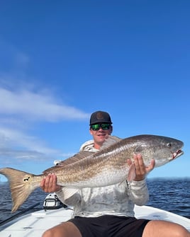 4-6 Hour Inshore Trip