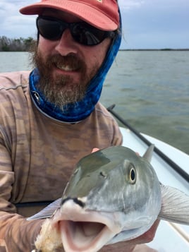 Florida Keys: Bonefish, Permit, More