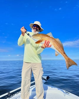 Inshore Fishing Trip