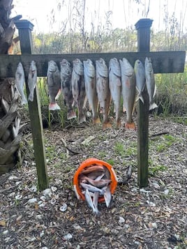 Inshore Fishing Trip