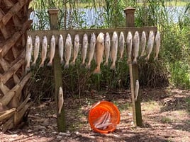 Inshore Fishing Trip