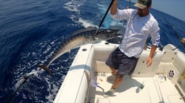 Gulf Stream Fishing Charter