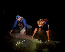 Cape May Land Based Shark Fishing