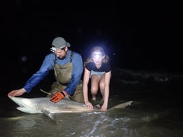 Cape May Land Based Shark Fishing