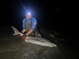 Cape May Land Based Shark Fishing