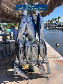 Florida Keys Destination Fishing