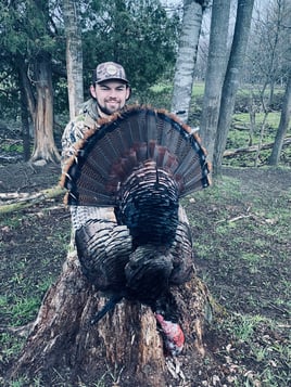 Michigan Spring Turkey 