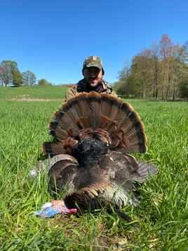 Michigan Spring Turkey 