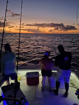 Night Fishing Charter