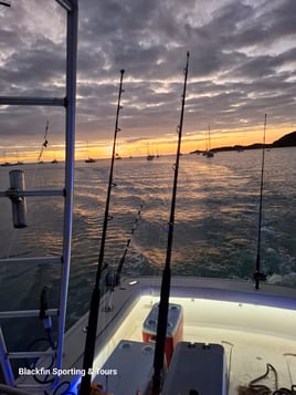 Night Fishing Charter