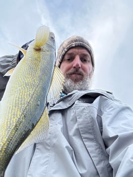 Weekday Half or Full Day Trip