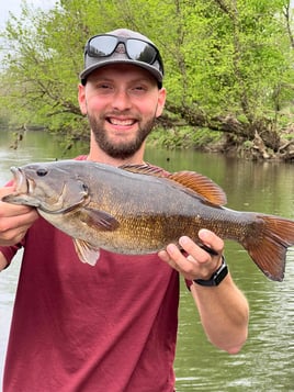 Weekday Half or Full Day Trip