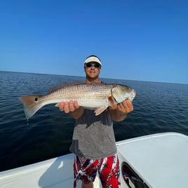 OBX Inshore Trips