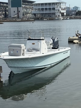 Half Day Inshore