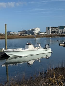 Half Day Inshore