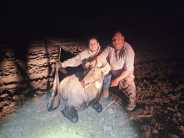South Texas Nilgai Hunts