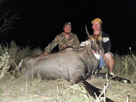 South Texas Thermal Nilgai Hunts