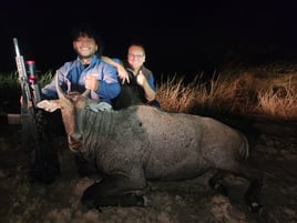 South Texas Nilgai Hunts