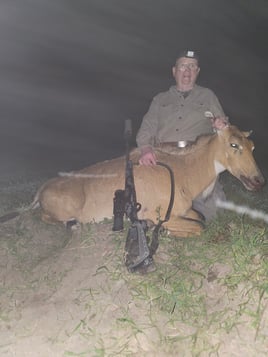 South Texas Thermal Nilgai Hunts