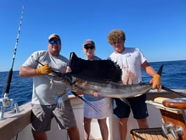 Full Day Trip – Gulfstream