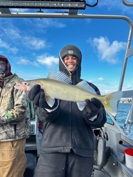 5 Hour Trip – Lake Erie