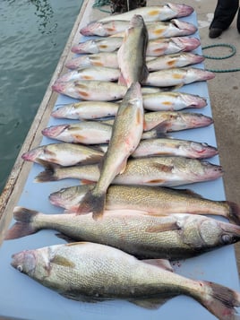 5 Hour Trip – Lake Erie