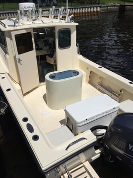 4 Hour Trip Bay Fishing 