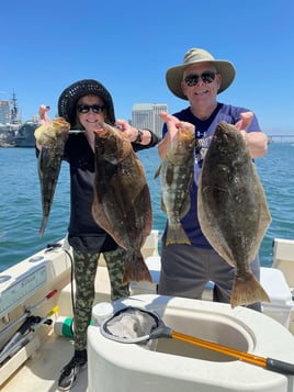 4 Hour Trip Bay Fishing 