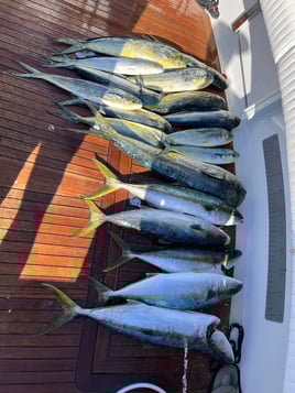 12 Hour Trip – Fishing Experience