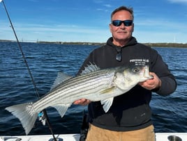 Half or Full Day Trip