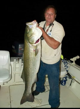 Half or Full Day Trip