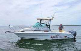 Half or Full Day Trip