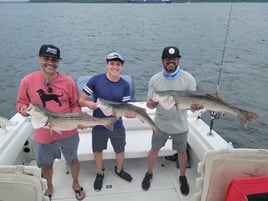 Half or Full Day Trip