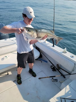 Half or Full Day Trip