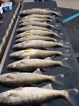 4-6 Hour Trip - Muskegon Lake