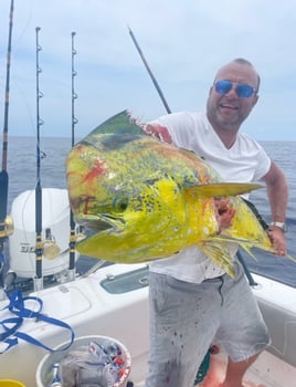 Bottom and or trolling trip -33