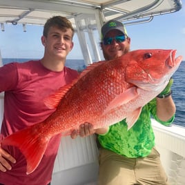 Offshore Tower—Troll & Live Bottom