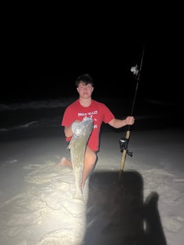 Shark Fishing